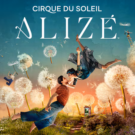 Alize Key Visual